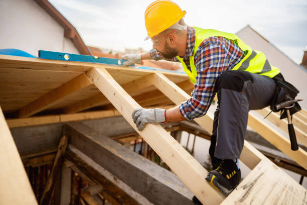Best Roof Gutter Cleaning  in Ione, CA